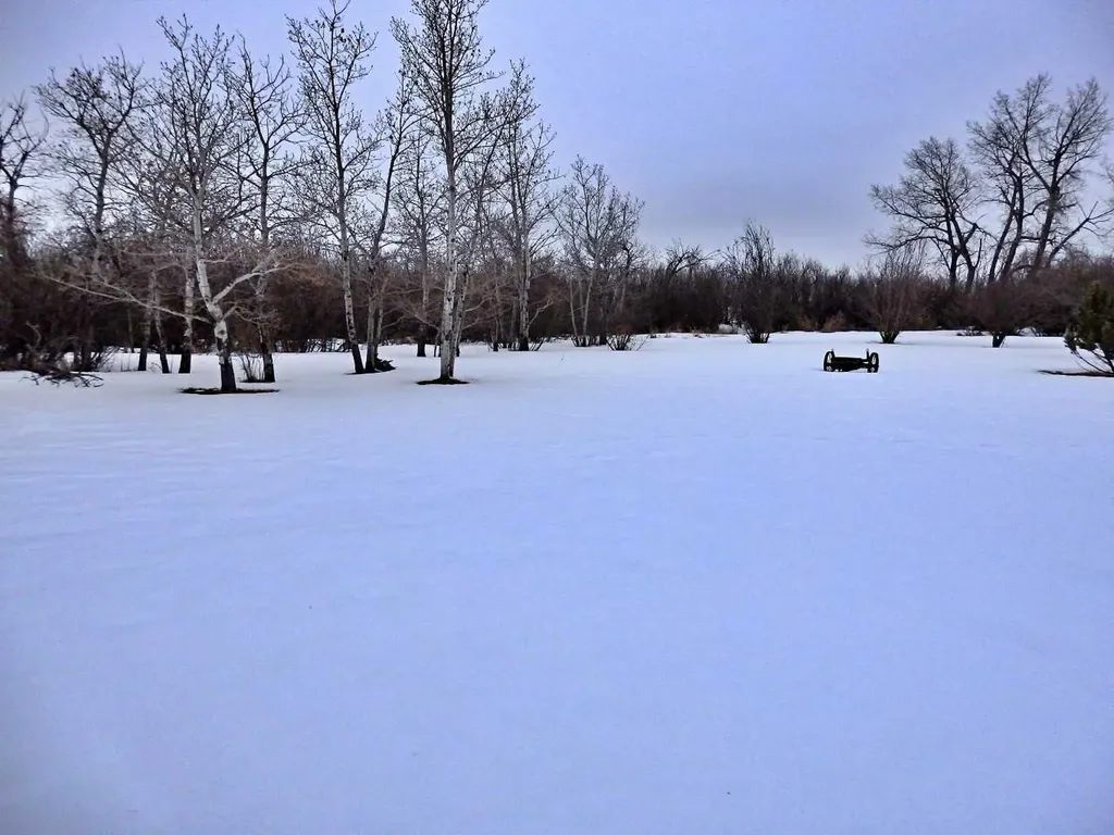 473044 Hw 41 Rural Vermilion River County Of AB T9X 1T1