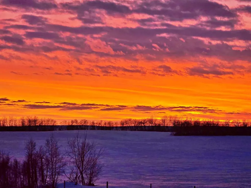 473044 Hw 41 Rural Vermilion River County Of AB T9X 1T1