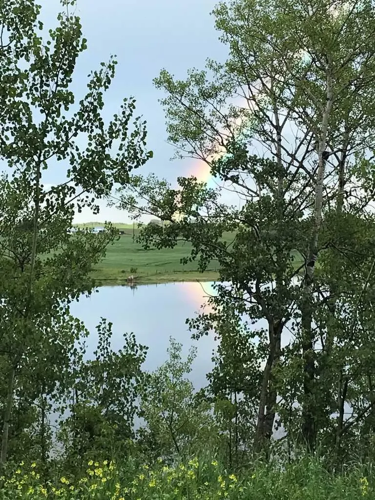 39204 Range Road232.5 Rural Lacombe County AB T0C 0B0