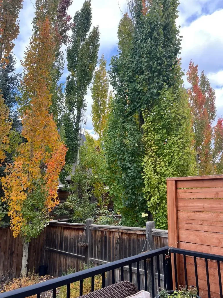 52 Wentworth Crescent SW Calgary AB T3H 0H1