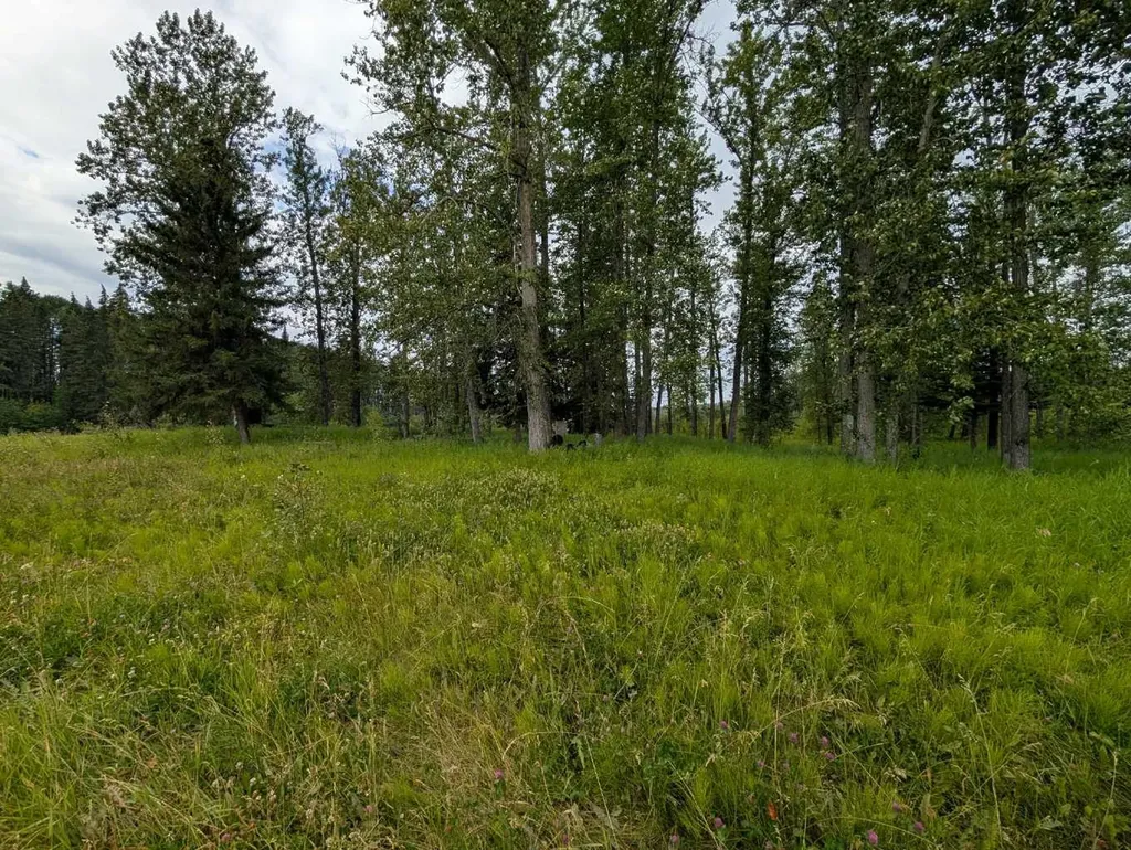 20003 Old Smith Highway Rural Lesser Slave River No. 124 M.d. Of AB T0G 2B0