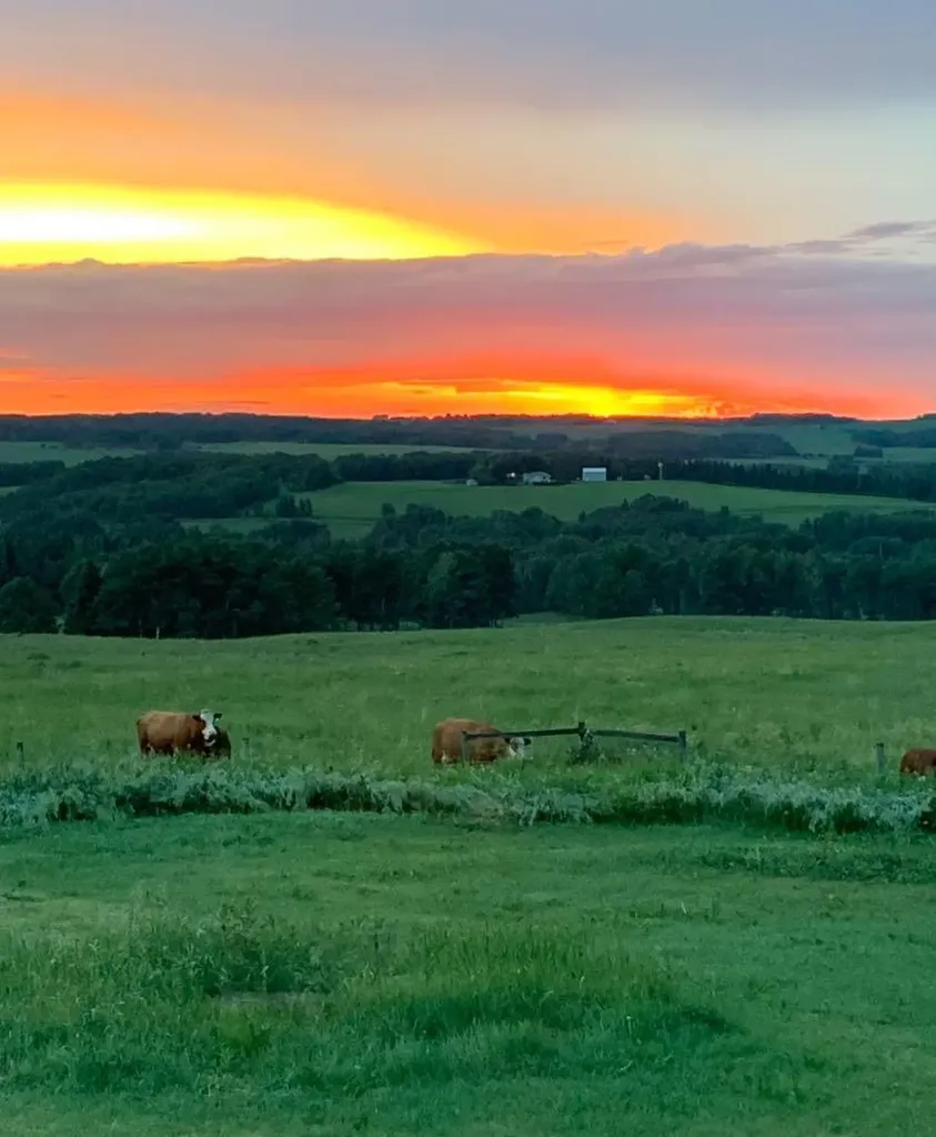 4142 Township Road 290 Rural Mountain View County AB T0M1L0