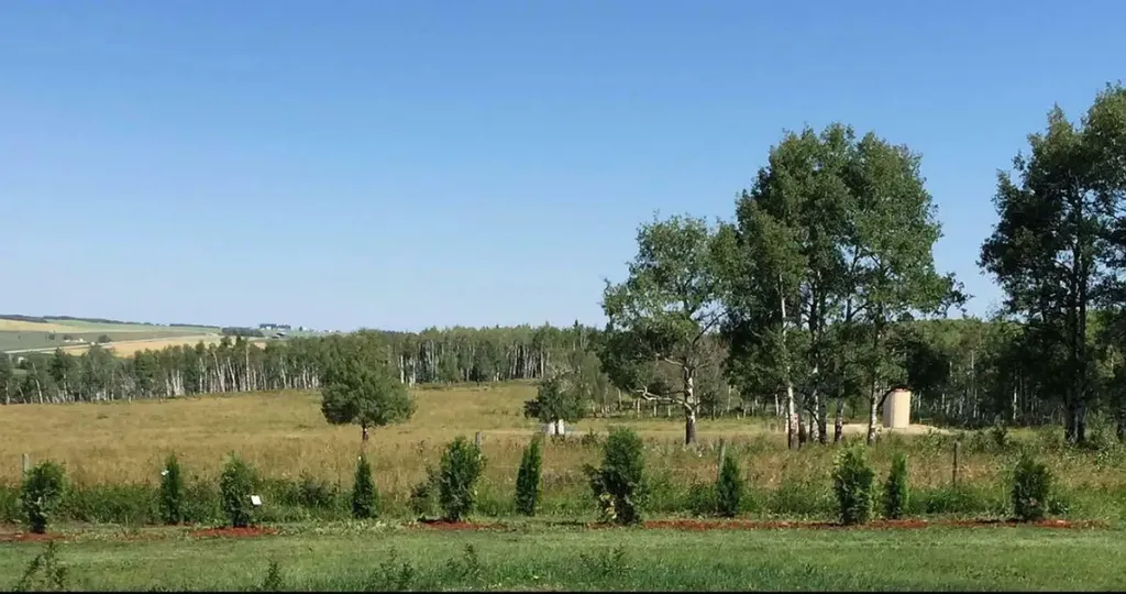4142 Township Road 290 Rural Mountain View County AB T0M1L0