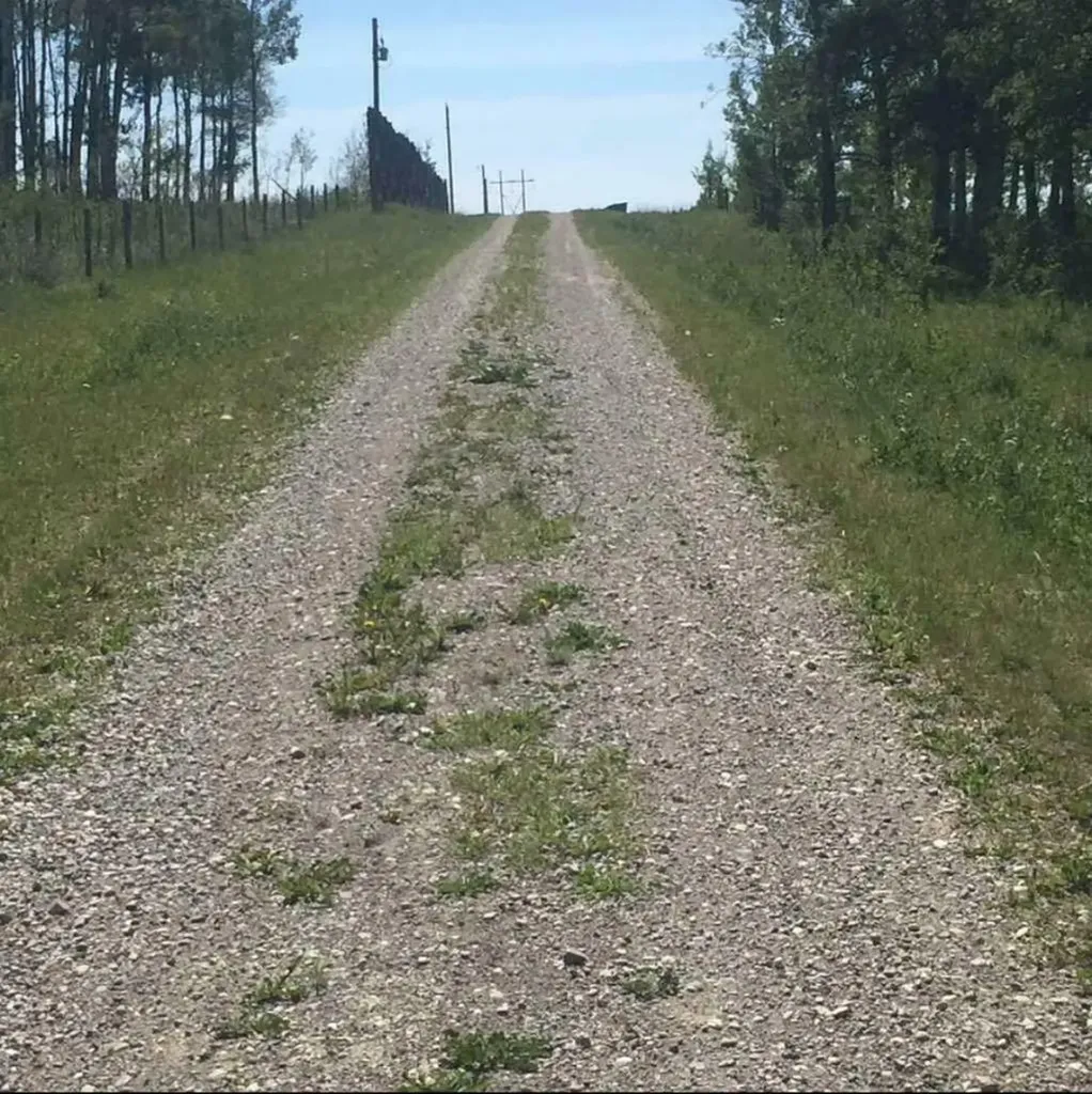 4142 Township Road 290 Rural Mountain View County AB T0M1L0