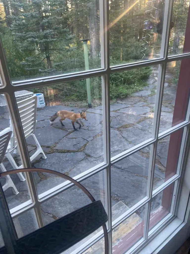 4 Pine Avenue Bragg Creek AB T0L 0K0