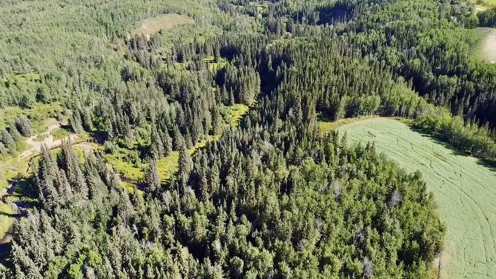 Range Road 225 Canyon Road Rural Athabasca County AB T9S 2A4