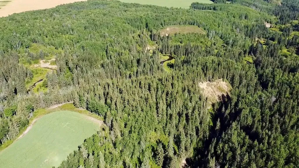 Range Road 225 Canyon Road Rural Athabasca County AB T9S 2A4