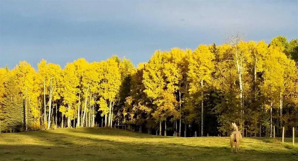 411048C Buster Creek Rural Clearwater County AB T4T 1A5