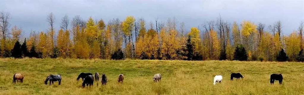 411048C Buster Creek Rural Clearwater County AB T4T 1A5