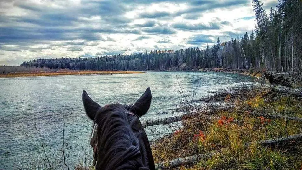 411048C Buster Creek Rural Clearwater County AB T4T 1A5