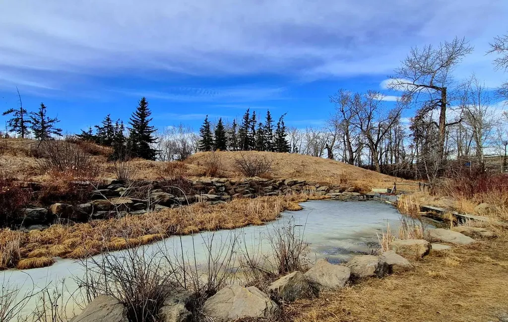 63 Inglewood Park SE Calgary AB T2G 1B7