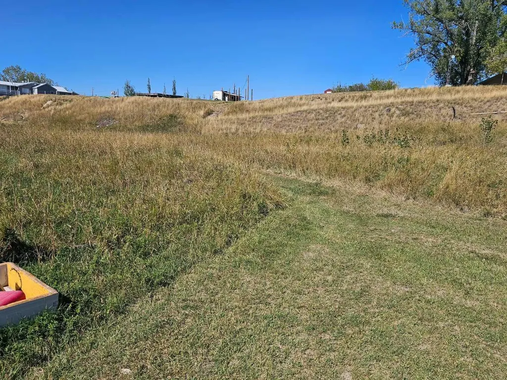 172039 Highway 539 Bow City AB T0J2M0