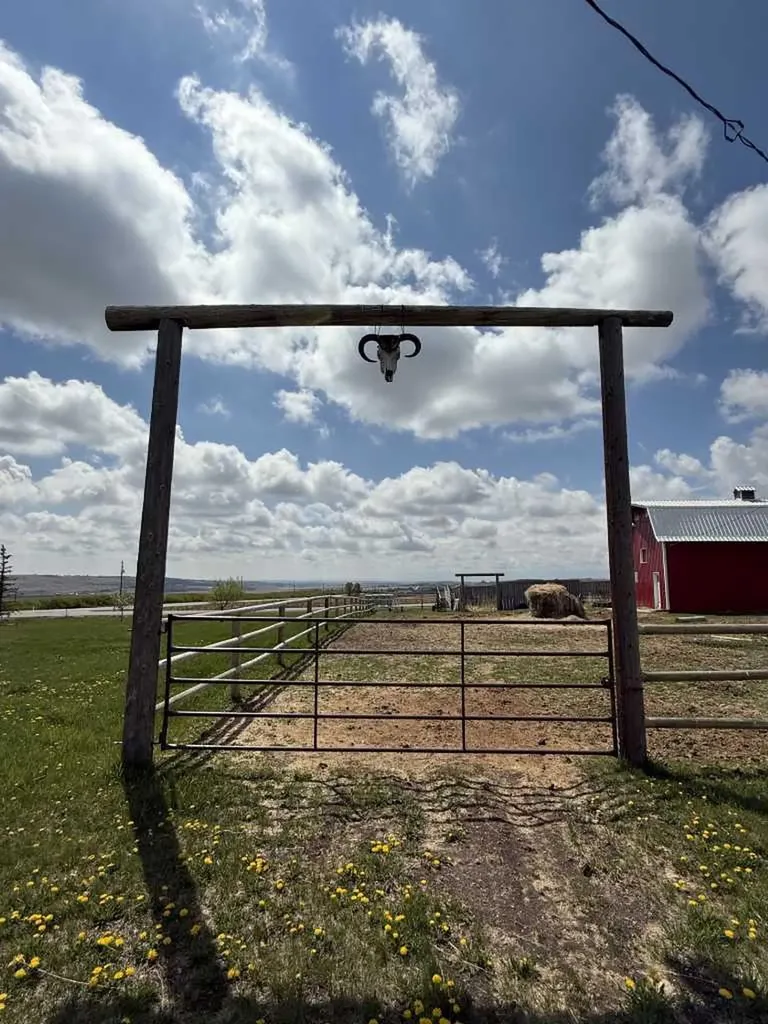 386243 16 Street W Rural Foothills County AB T1S 6A7