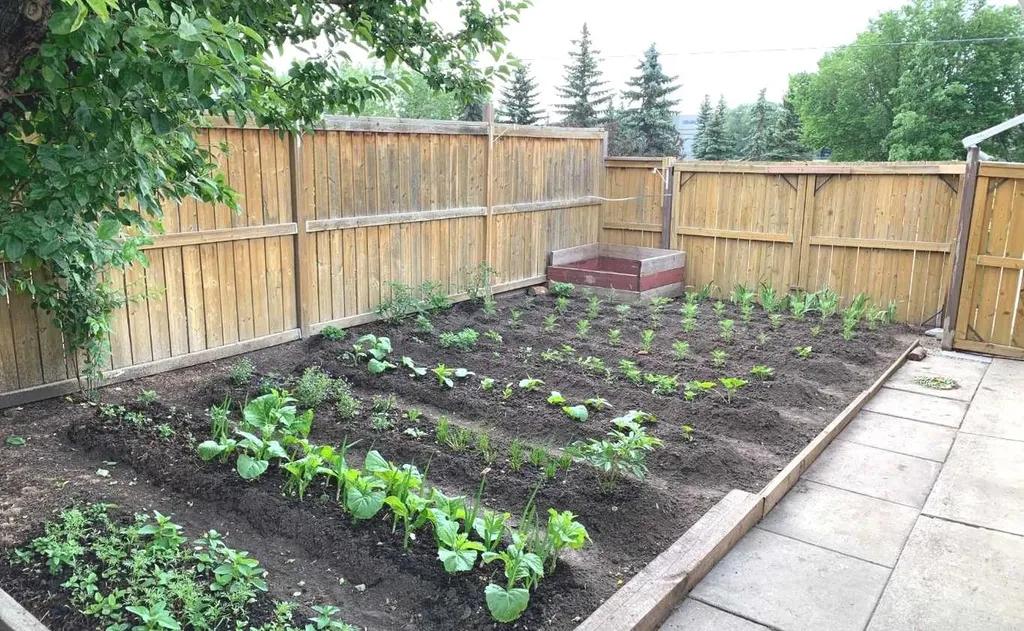 2715 41a Avenue SE Calgary AB T2B 2M1