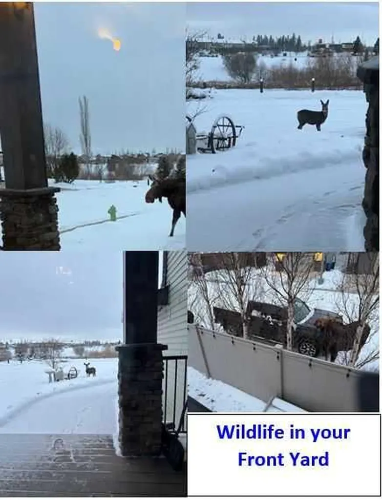 55 Carter Close Red Deer AB T4P 0G5