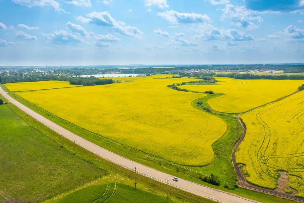 5901 50 Avenue Innisfail AB T4G 1R7