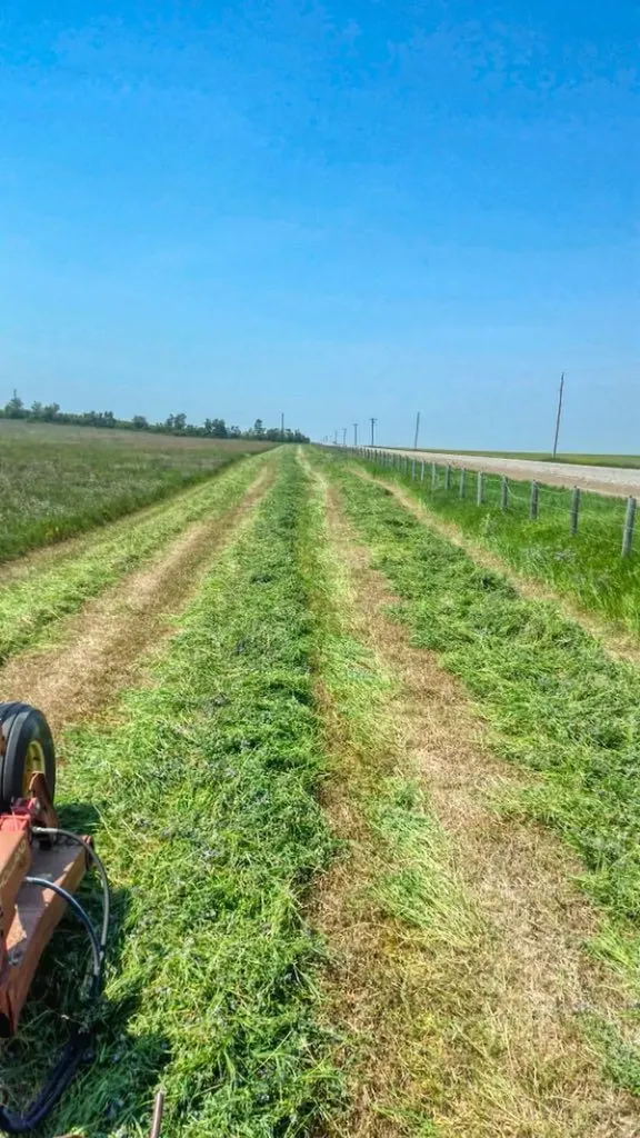 223025 Township Road 284 Rural Kneehill County AB T0M0L0