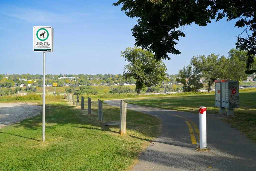521 15 Avenue NE Calgary AB T2E 1H7
