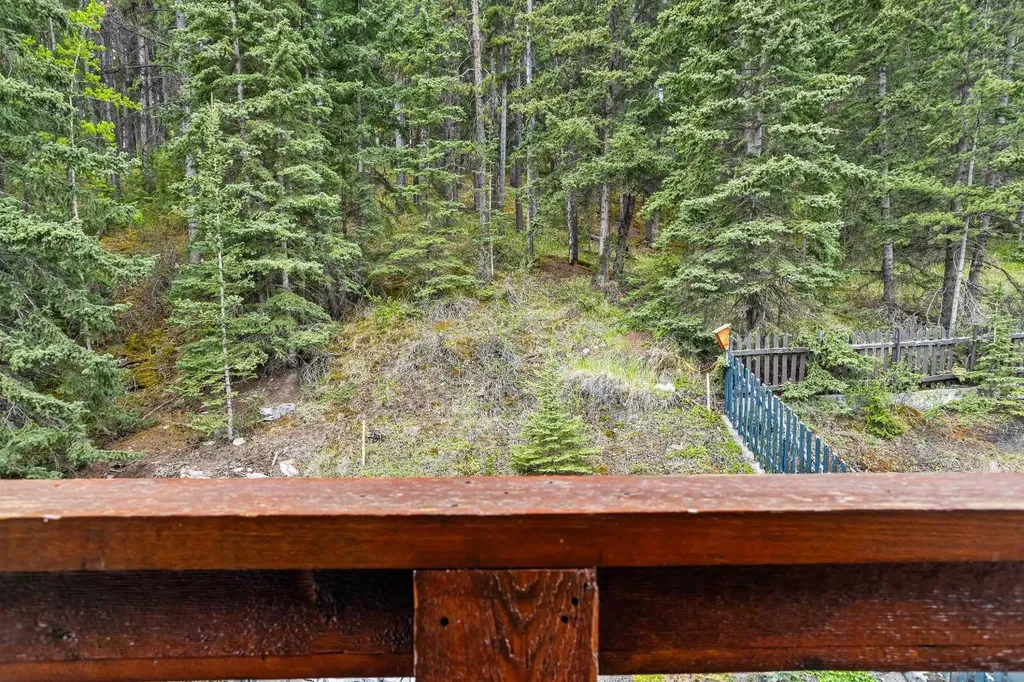 243 Three Sisters Drive Canmore AB T1W2M4