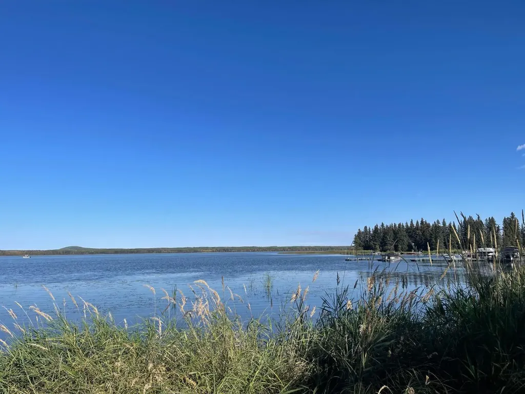 140 465015 Range Road 63a Buck Lake AB T0C 0T0