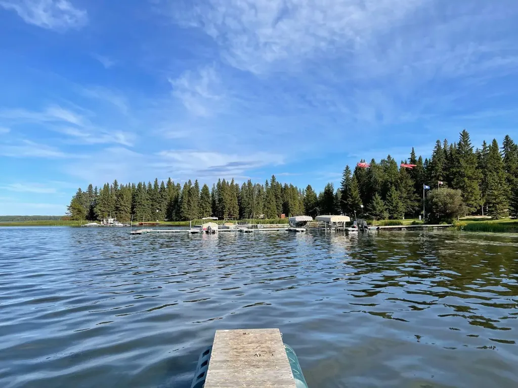 140 465015 Range Road 63a Buck Lake AB T0C 0T0