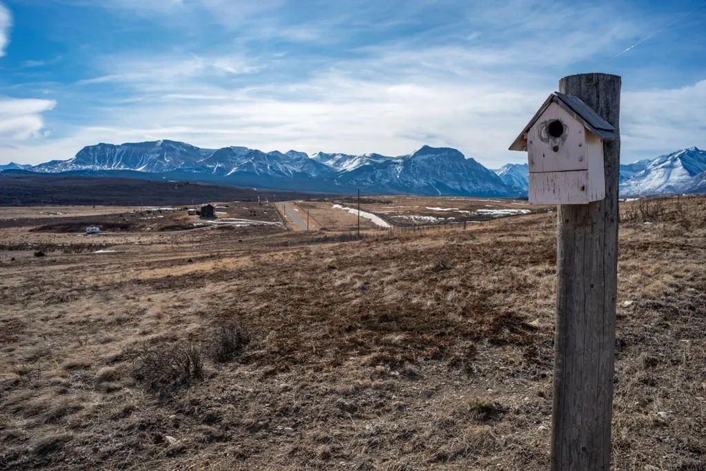 2 Paradise Drive Rural Cardston County AB T0K 2M0