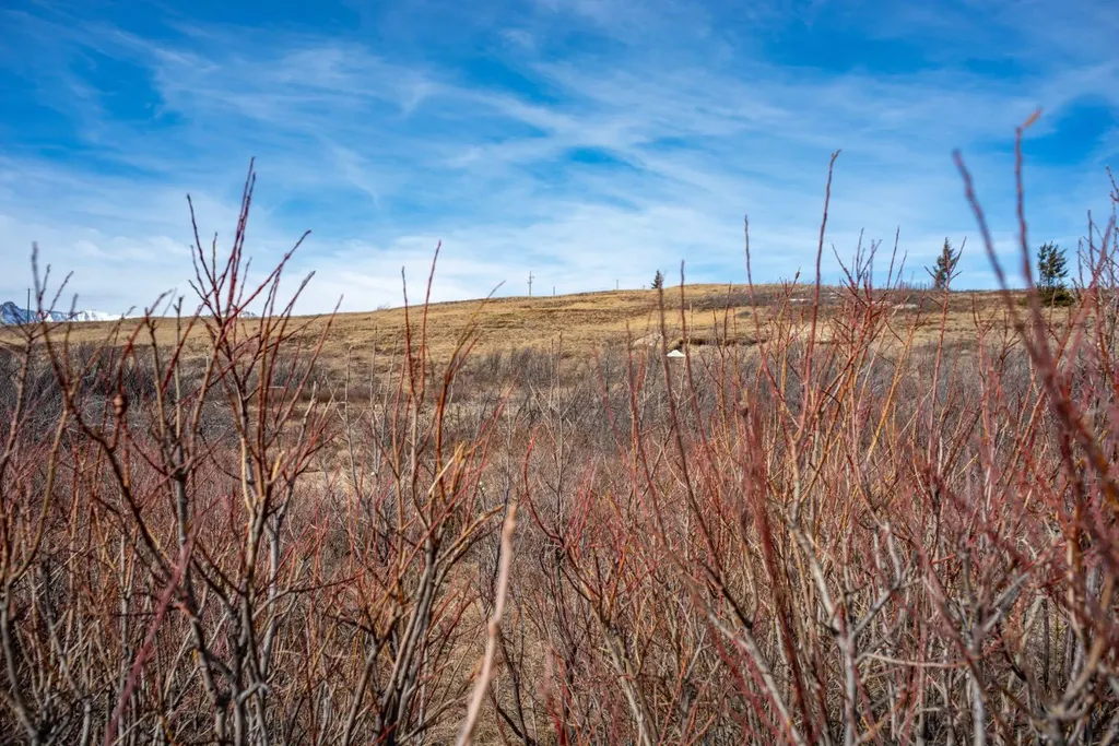 2 Paradise Drive Rural Cardston County AB T0K 2M0