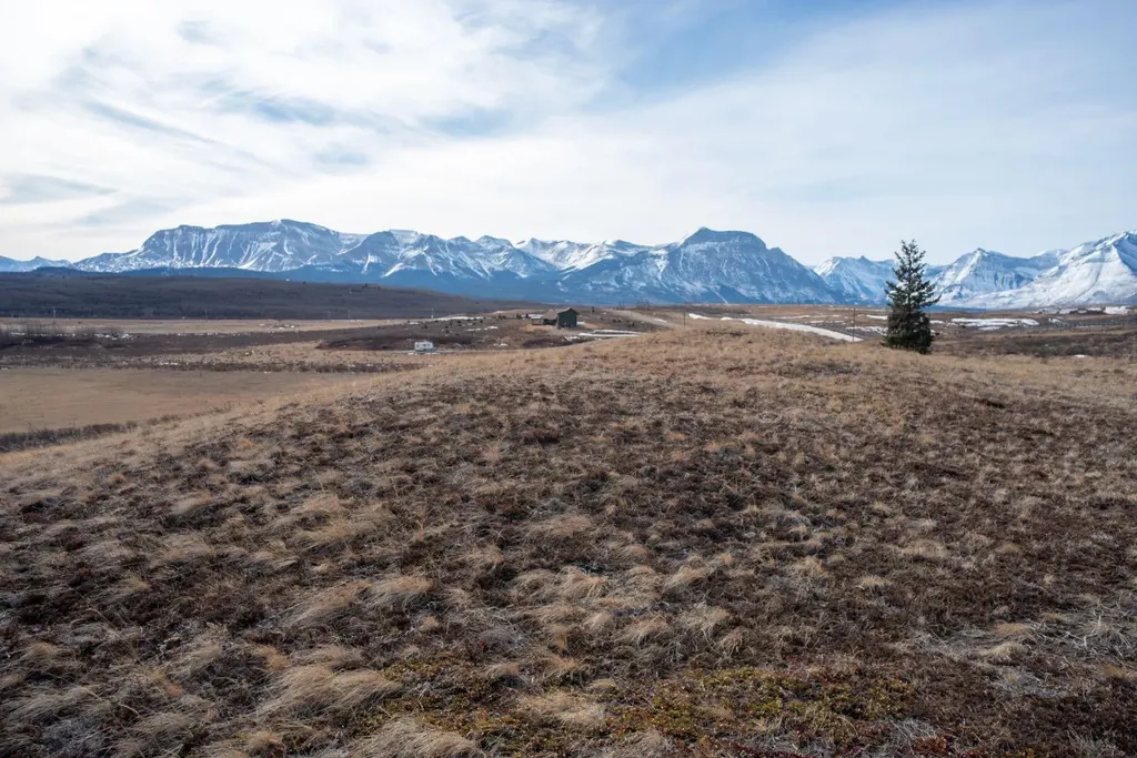 2 Paradise Drive Rural Cardston County AB T0K 2M0