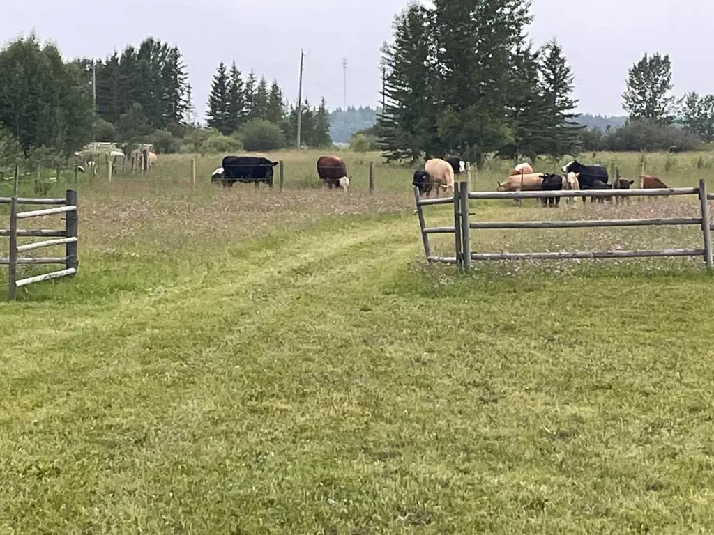 34331 Range Road 41 Road S Rural Red Deer County AB T0M 0K0