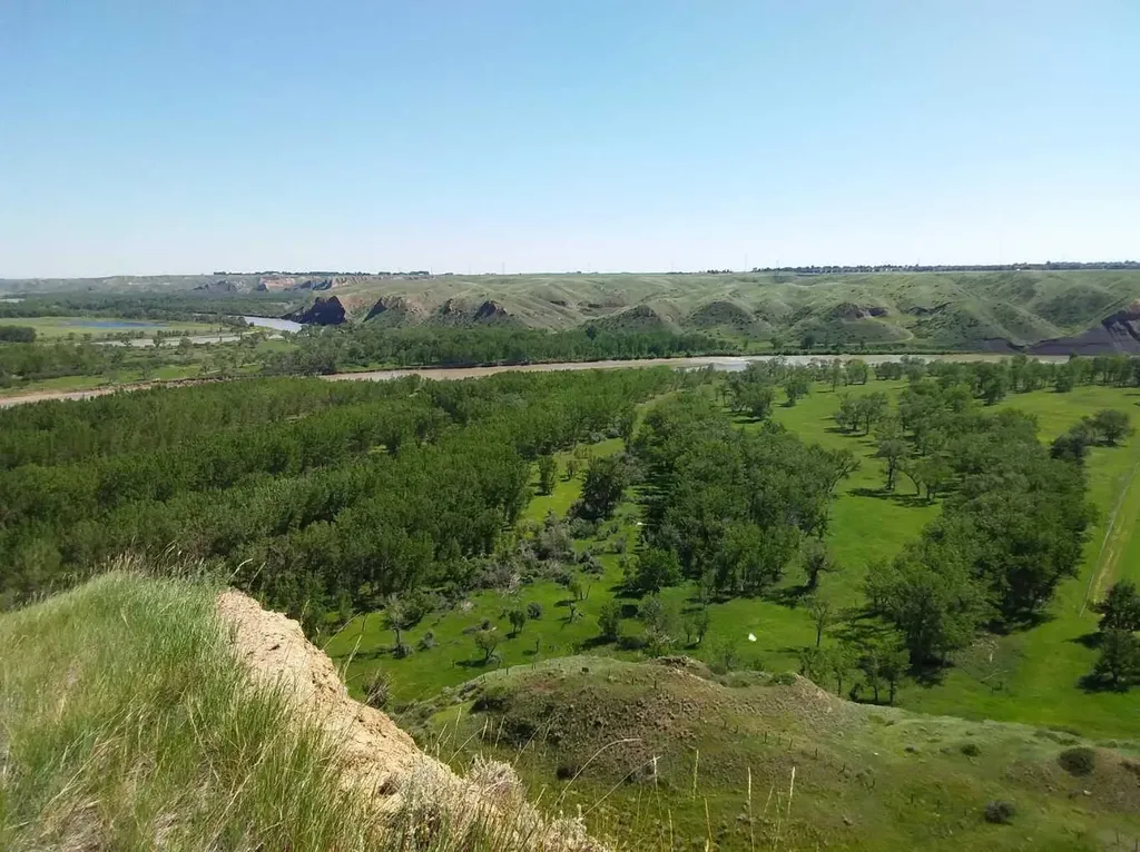 4;22;9;14; Sw,se Rural Lethbridge County AB T0L 0V0