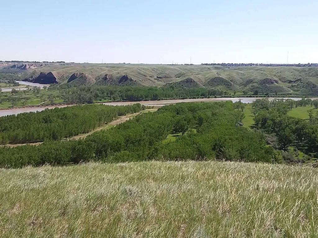 4;22;9;14; Sw,se Rural Lethbridge County AB T0L 0V0