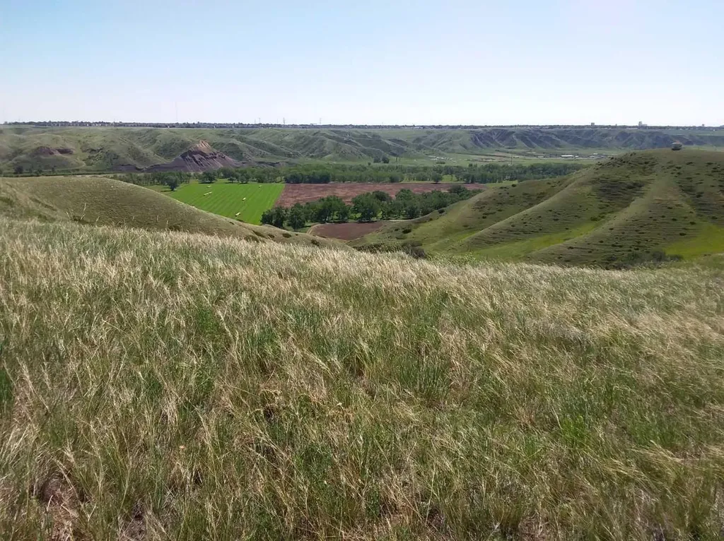 4;22;9;14; Sw,se Rural Lethbridge County AB T0L 0V0