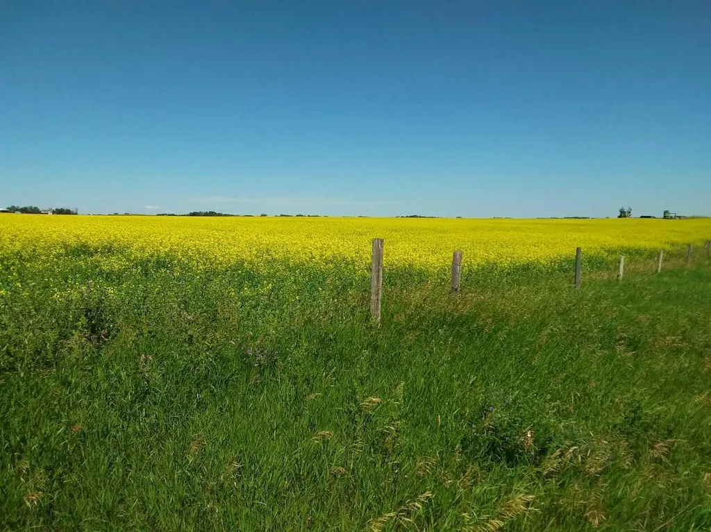 4;22;9;14; Sw,se Rural Lethbridge County AB T0L 0V0