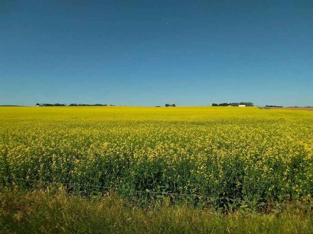 4;22;9;14; Sw,se Rural Lethbridge County AB T0L 0V0