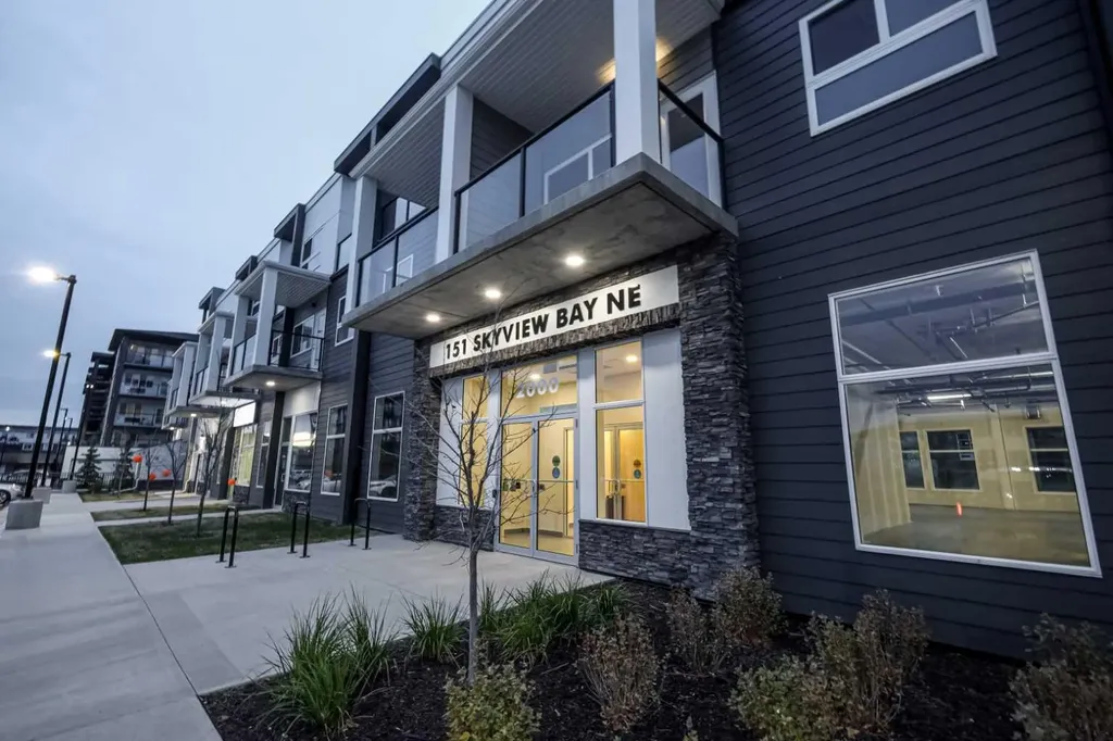 151 Skyview Bay NE Calgary AB T3N1N6