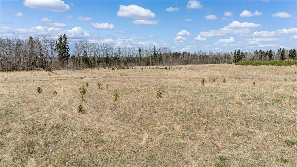 51038 Township Road 36-0a Rural Clearwater County AB T0M 0M0