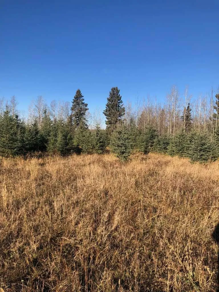 51038 Township Road 36-0a Rural Clearwater County AB T0M 0M0