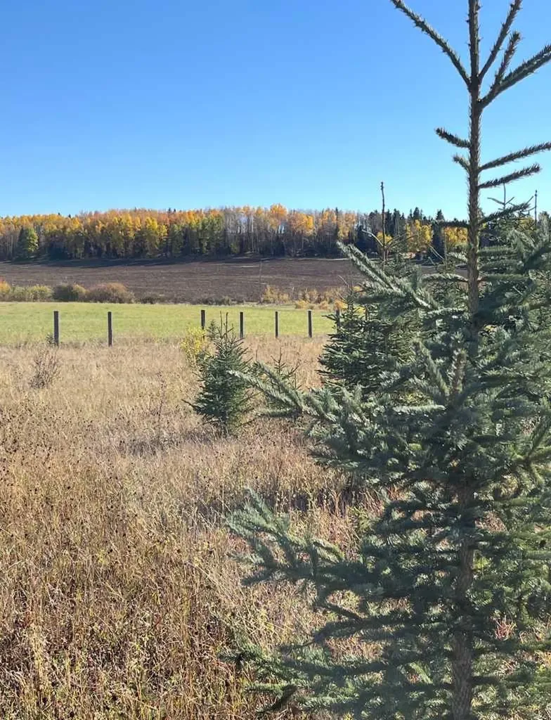 51038 Township Road 36-0a Rural Clearwater County AB T0M 0M0