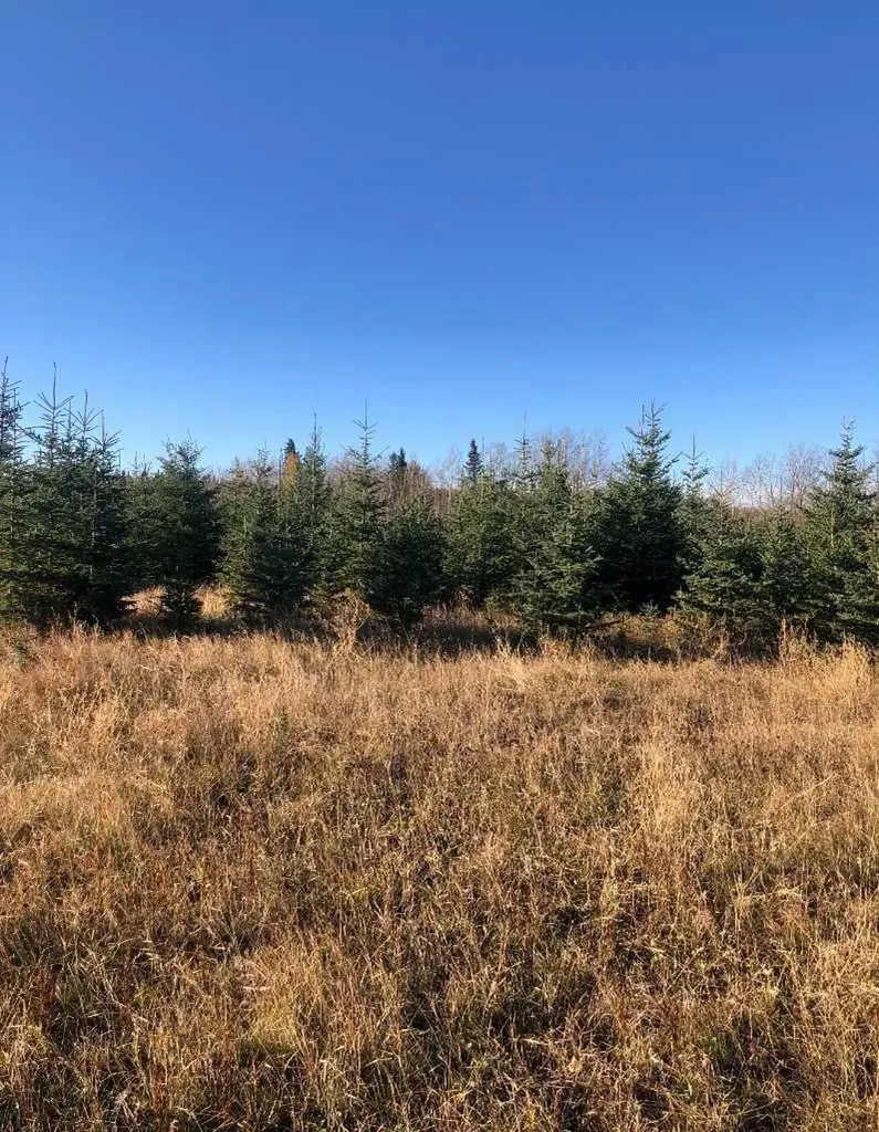 51038 Township Road 36-0a Rural Clearwater County AB T0M 0M0