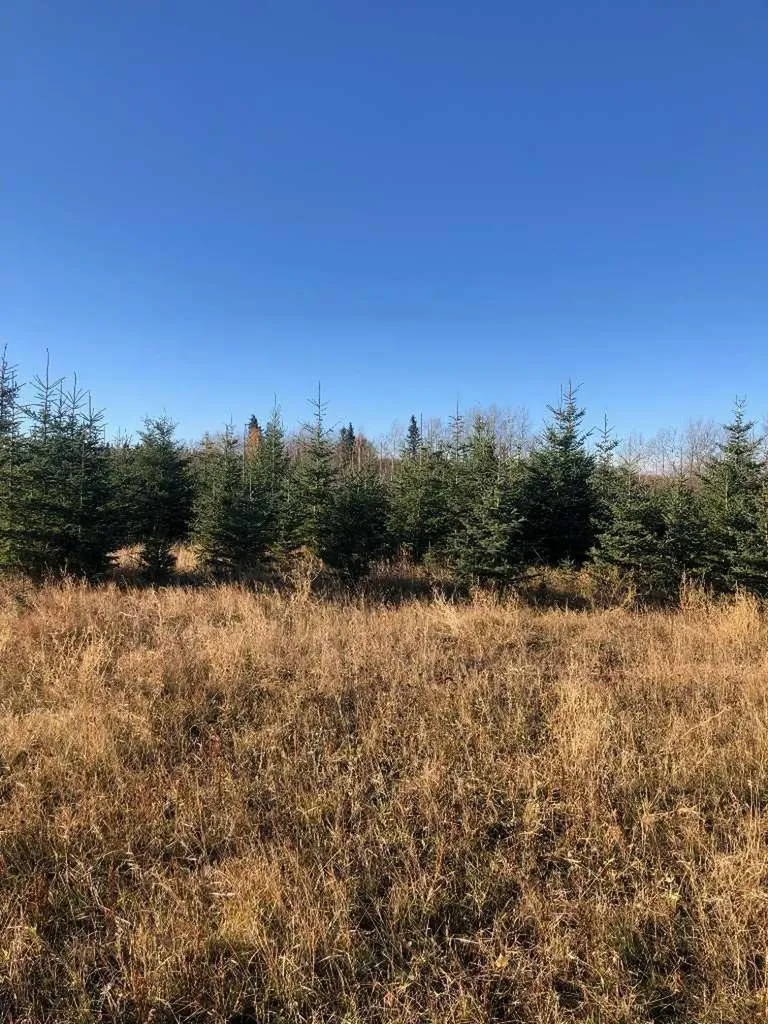 51038 Township Road 36-0a Rural Clearwater County AB T0M 0M0
