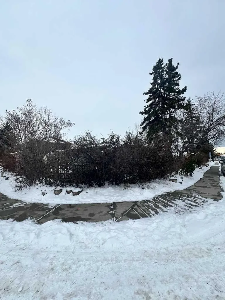 29 Windermere Road SW Calgary AB T3C 3K2