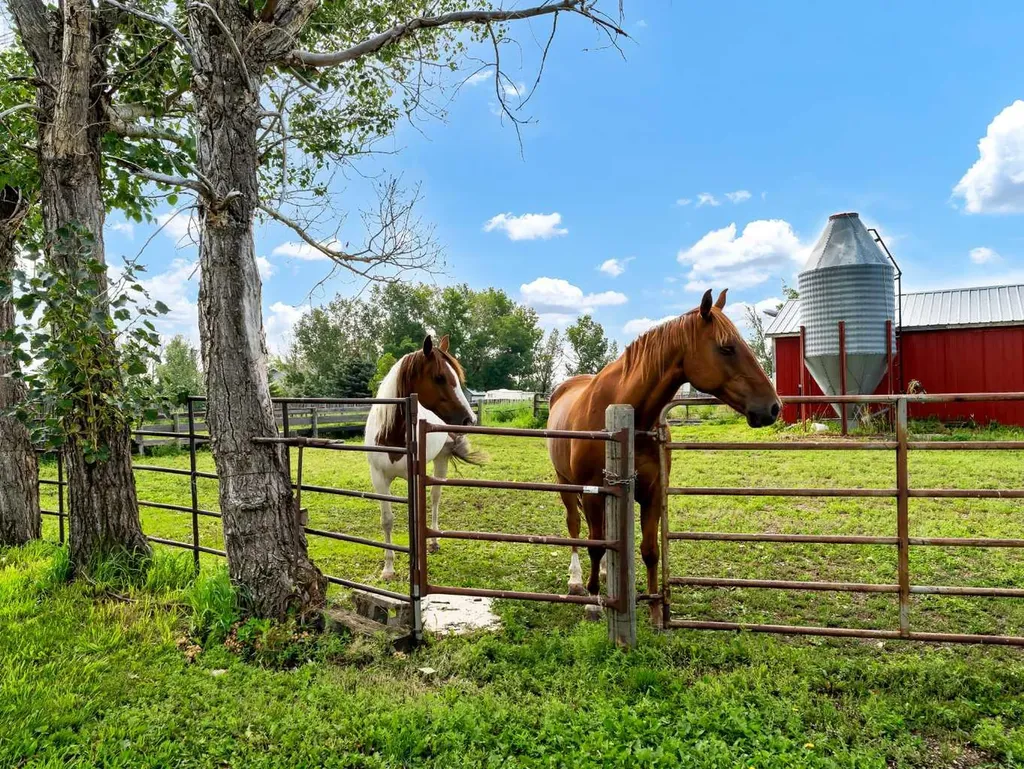 12228 Range Road 64 Rural Cypress County AB T1A7G5