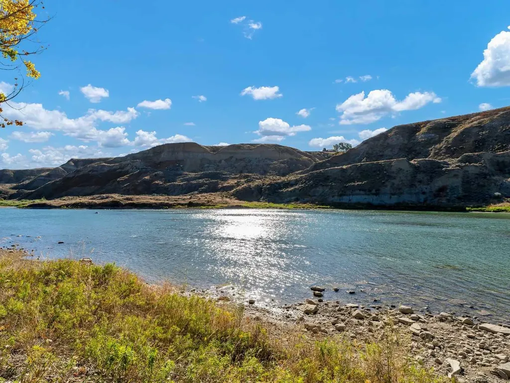 29 Sunvalley Court SW Rural Cypress County AB T0J 2P0