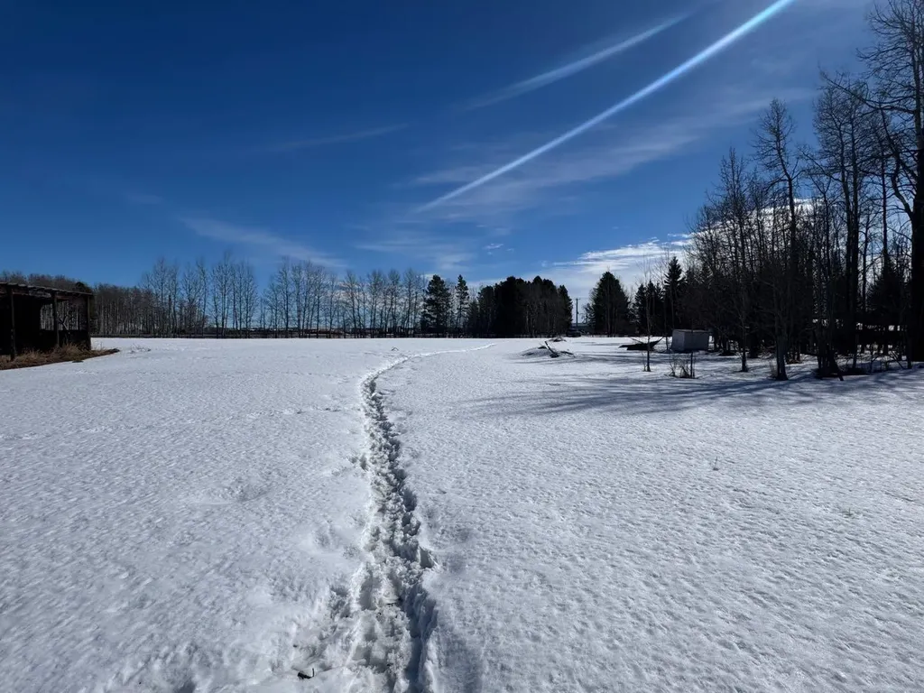 414006 Range Road 6-3 Rural Clearwater County AB T4T2A1