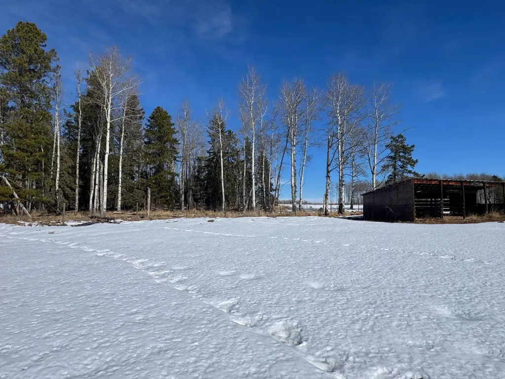 414006 Range Road 6-3 Rural Clearwater County AB T4T2A1