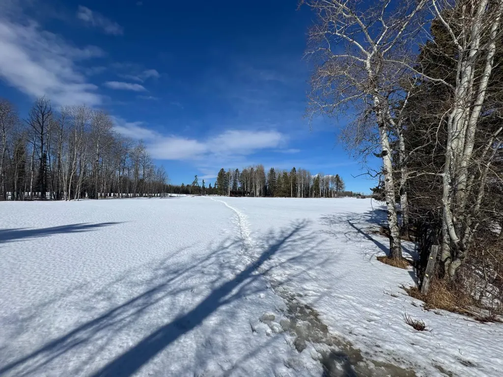 414006 Range Road 6-3 Rural Clearwater County AB T4T2A1