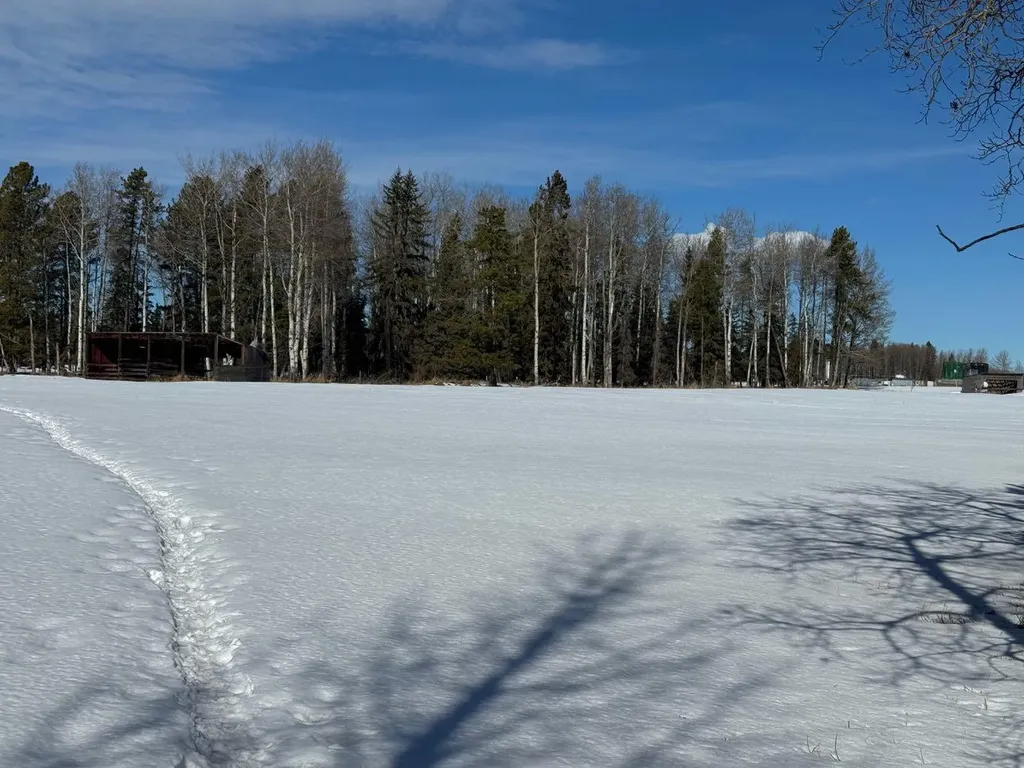 414006 Range Road 6-3 Rural Clearwater County AB T4T2A1