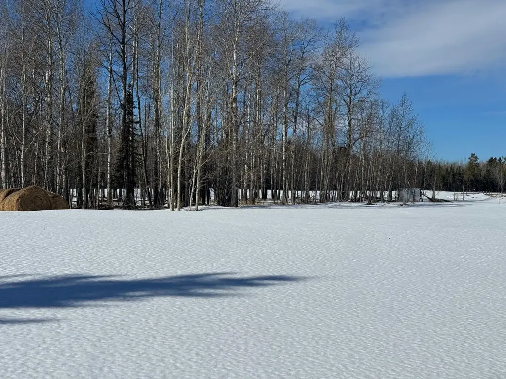414006 Range Road 6-3 Rural Clearwater County AB T4T2A1