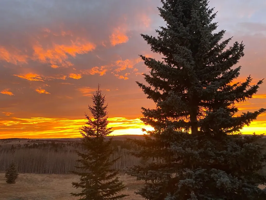 38 Sunrise Way Priddis Greens AB T0L 1W3