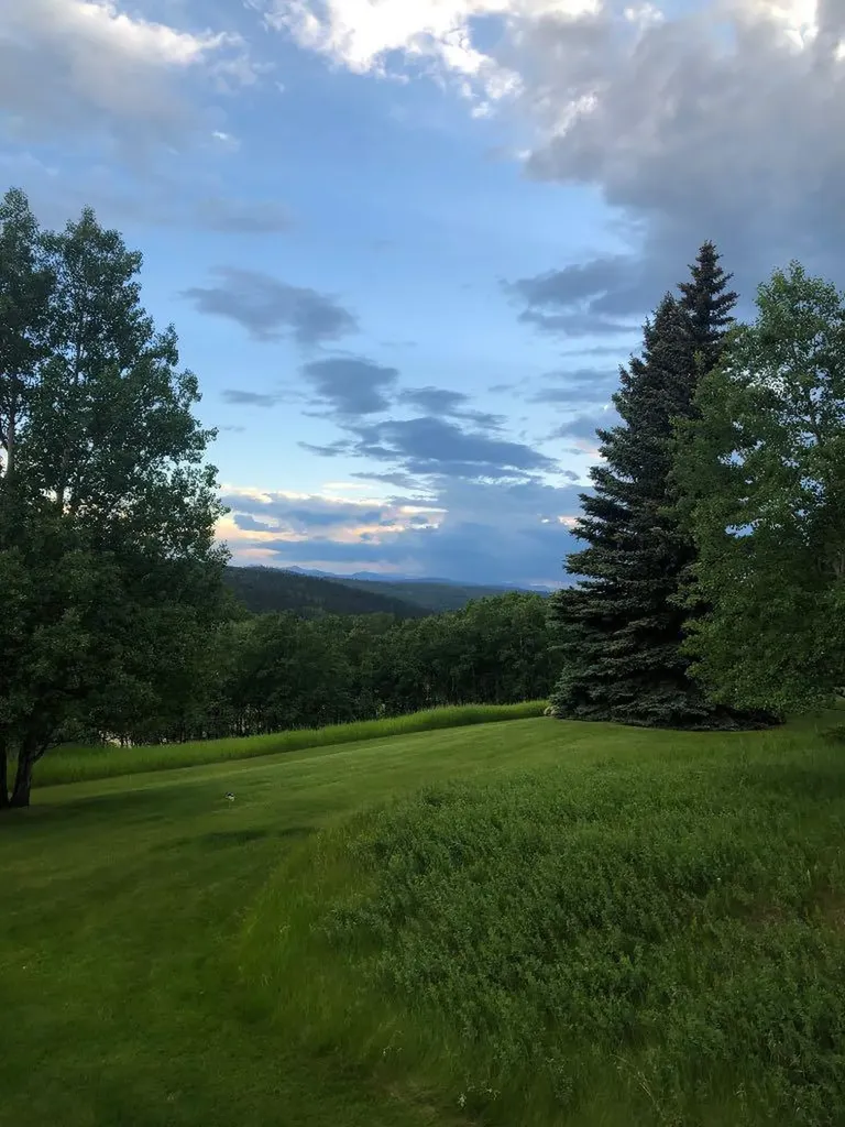 38 Sunrise Way Priddis Greens AB T0L 1W3